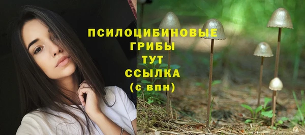 кокс Армянск