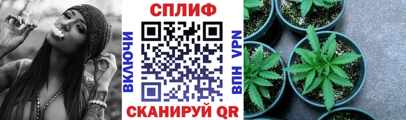 Каннабис OG Kush  где купить наркоту  блэк спрут зеркало  Заозёрск 